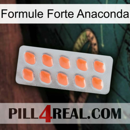 Anaconda Strong Formula 26